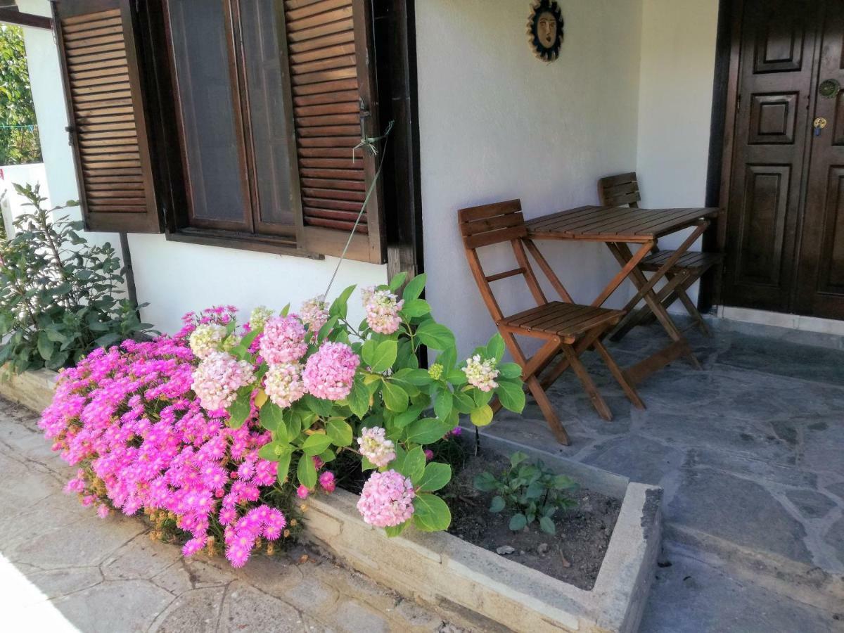 Apartamento Jenny'S Garden Vourvourou Exterior foto